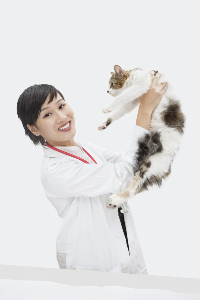 about Cat Care